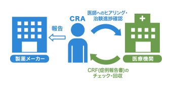 CRAは医療機関に赴いて医師へのヒアリングや治験の進捗確認を実施。CRF(症例報告書)のチェックと回収を行い、製薬メーカーに報告する。